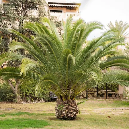 Casa Magnolia Marbella